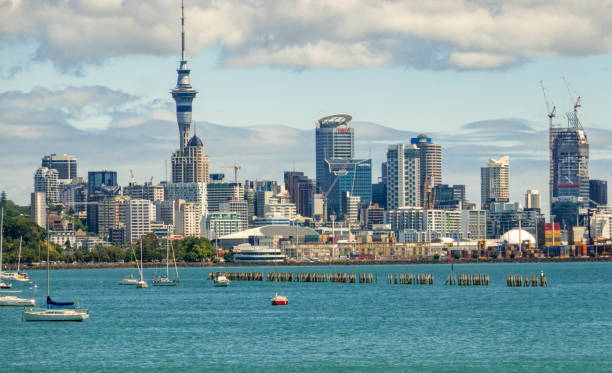 NZ Student